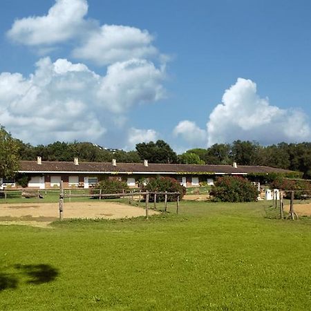 Residential Horse Club Costa Brava Vandrehjem Santa Cristina d'Aro Værelse billede
