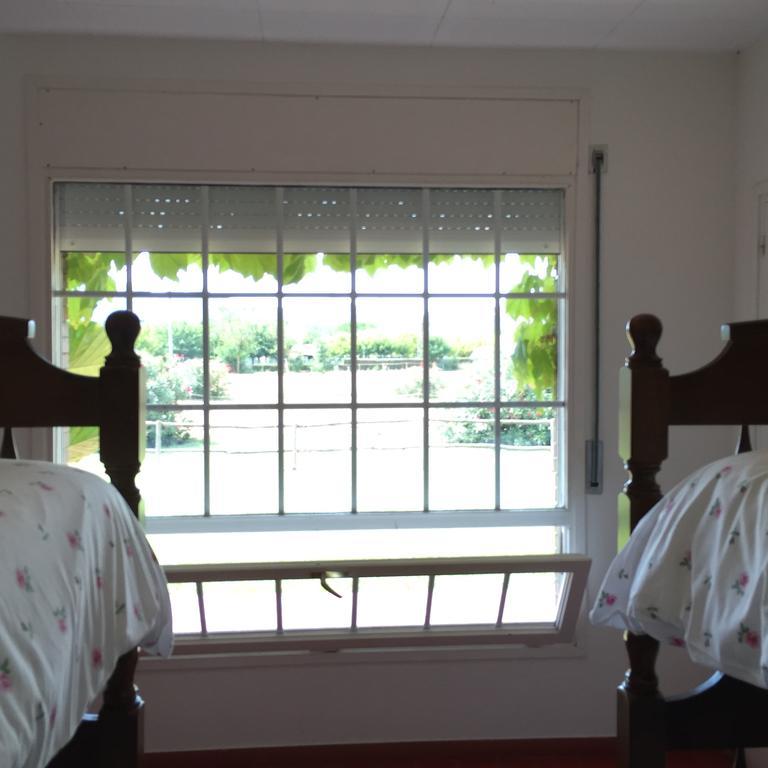 Residential Horse Club Costa Brava Vandrehjem Santa Cristina d'Aro Værelse billede