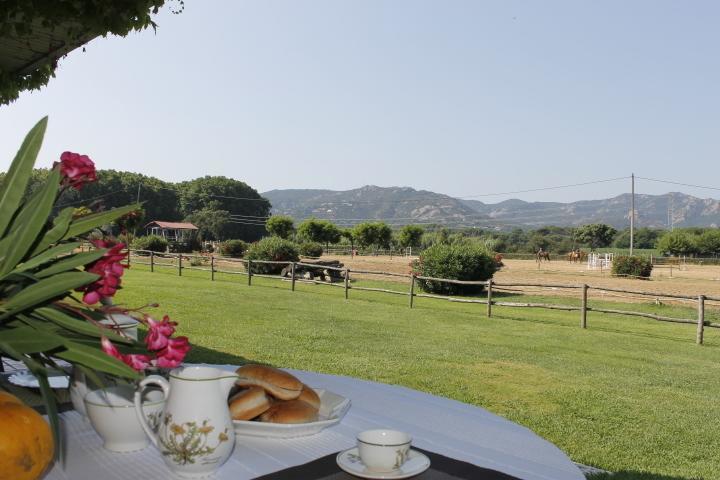 Residential Horse Club Costa Brava Vandrehjem Santa Cristina d'Aro Værelse billede